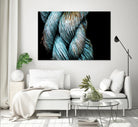 Ties that Bind by Melissa McClain on GIANT ART - black photo art