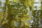 Morning Pond by Melissa McClain on GIANT ART - grey abstract