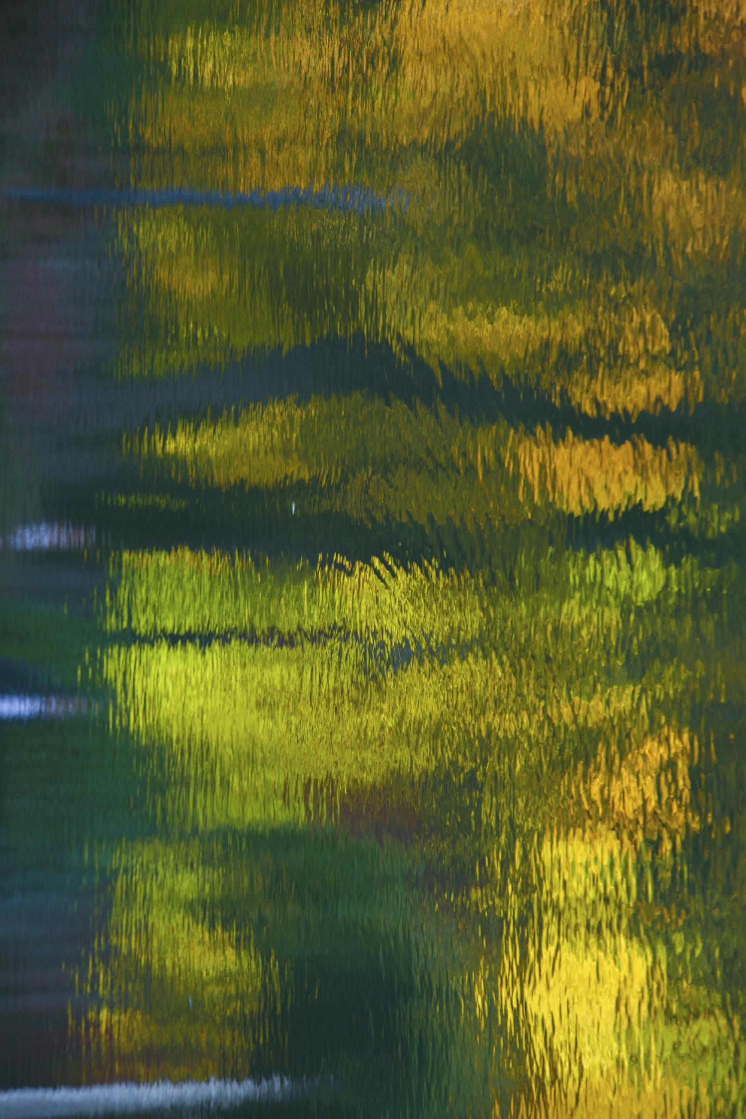 Afternoon Pond by Melissa McClain on GIANT ART - yellow abstract