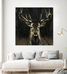 Young Buck by Liz Jardine on GIANT ART - black animals