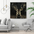 Young Buck by Liz Jardine on GIANT ART - black animals
