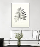 Black & White Palm II by Patti Mann on GIANT ART - grey botany