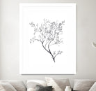 Airy Blooms II by Kayleigh Wold on GIANT ART - florals