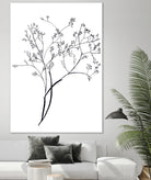 Airy Blooms III by Kayleigh Wold on GIANT ART - florals