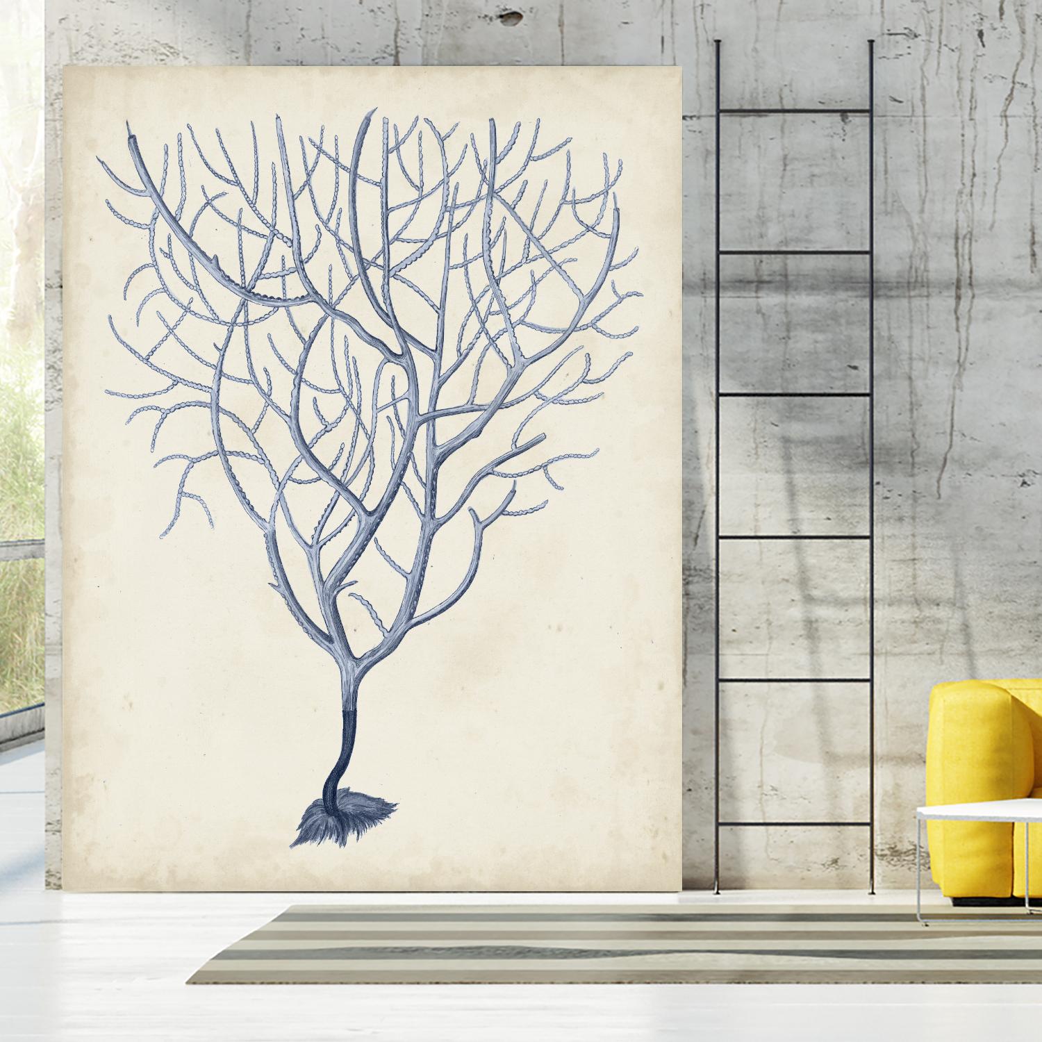 Indigo Coral III by Vision Studio on GIANT ART - blue tropical