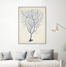 Indigo Coral III by Vision Studio on GIANT ART - blue tropical