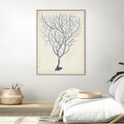 Indigo Coral III by Vision Studio on GIANT ART - blue tropical