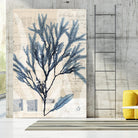 Seaweed Arrangement I by Vision Studio on GIANT ART - blue tropical