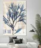Seaweed Arrangement I by Vision Studio on GIANT ART - blue tropical
