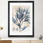 Seaweed Arrangement I by Vision Studio on GIANT ART - blue tropical