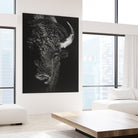 Black Glimpse I by Julie T. Chapman on GIANT ART - animals