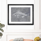 Like a Stone I by Melissa Wang on GIANT ART - animals