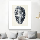 Coastal Collection in Indigo III by Vision Studio on GIANT ART - blue tropical