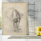 Antique Ballerina Study I by Ethan Harper on GIANT ART - fashion