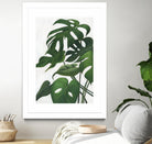 Pura Vida I by Grace Popp on GIANT ART - green coastal & tropical abstract 