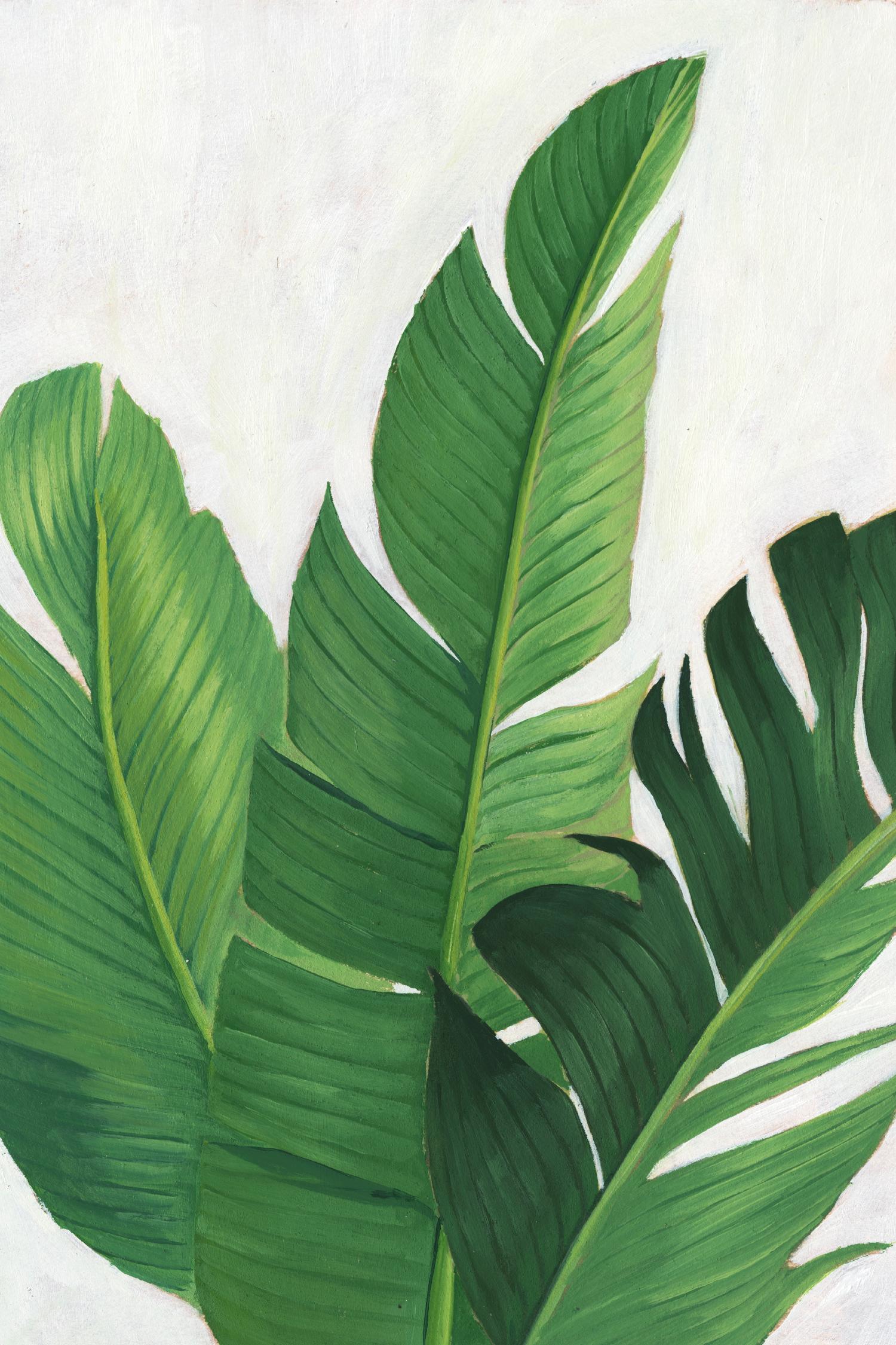 Pura Vida II by Grace Popp on GIANT ART - green coastal & tropical nature