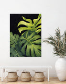 Night Monsteras I by Grace Popp on GIANT ART - green  coastal & tropical abstract 