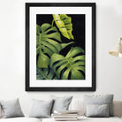 Night Monsteras II by Grace Popp on GIANT ART - green coastal & tropical abstract 