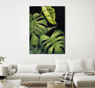 Night Monsteras II by Grace Popp on GIANT ART - green coastal & tropical abstract 