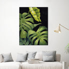 Night Monsteras II by Grace Popp on GIANT ART - green coastal & tropical abstract 