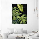 Night Monsteras II by Grace Popp on GIANT ART - green coastal & tropical abstract 