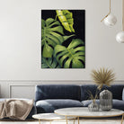 Night Monsteras II by Grace Popp on GIANT ART - green coastal & tropical abstract 