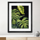 Night Monsteras II by Grace Popp on GIANT ART - green coastal & tropical abstract 