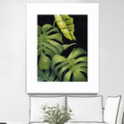 Night Monsteras II by Grace Popp on GIANT ART - green coastal & tropical abstract 