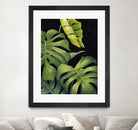 Night Monsteras II by Grace Popp on GIANT ART - green coastal & tropical abstract 