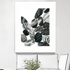 Dalmatian Rocks II by Grace Popp on GIANT ART - white abstract abstract 