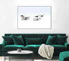 Planes by Pexels on GIANT ART - black vehicle