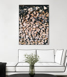 Logs by Pexels on GIANT ART - black trees