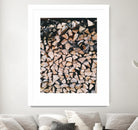 Logs by Pexels on GIANT ART - black trees wood