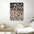 Logs by Pexels on GIANT ART - black trees