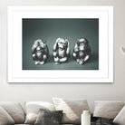 Wise monkeys by Pexels on GIANT ART - white animals
