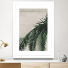 Tropical leaves by Pexels on GIANT ART - beige tropical