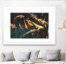 Koi by Pexels on GIANT ART - green animals
