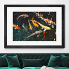 Koi by Pexels on GIANT ART - green animals
