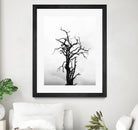 Dead tree by Pexels on GIANT ART - white trees