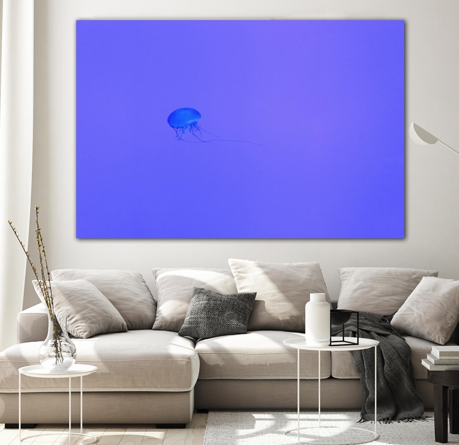 Jellyfish Jam by Pexels on GIANT ART - purple animals