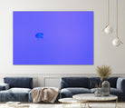 Jellyfish Jam by Pexels on GIANT ART - purple animals