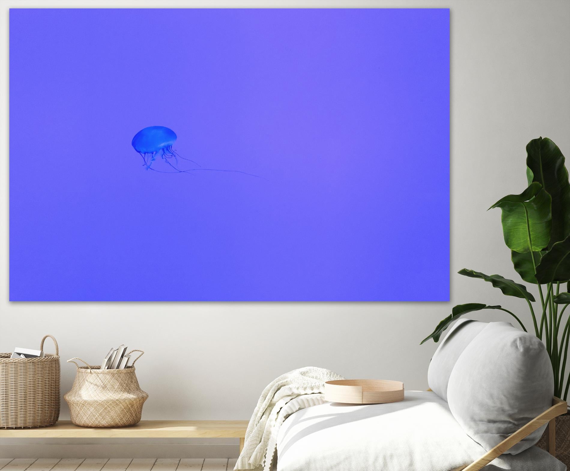 Jellyfish Jam by Pexels on GIANT ART - purple animals