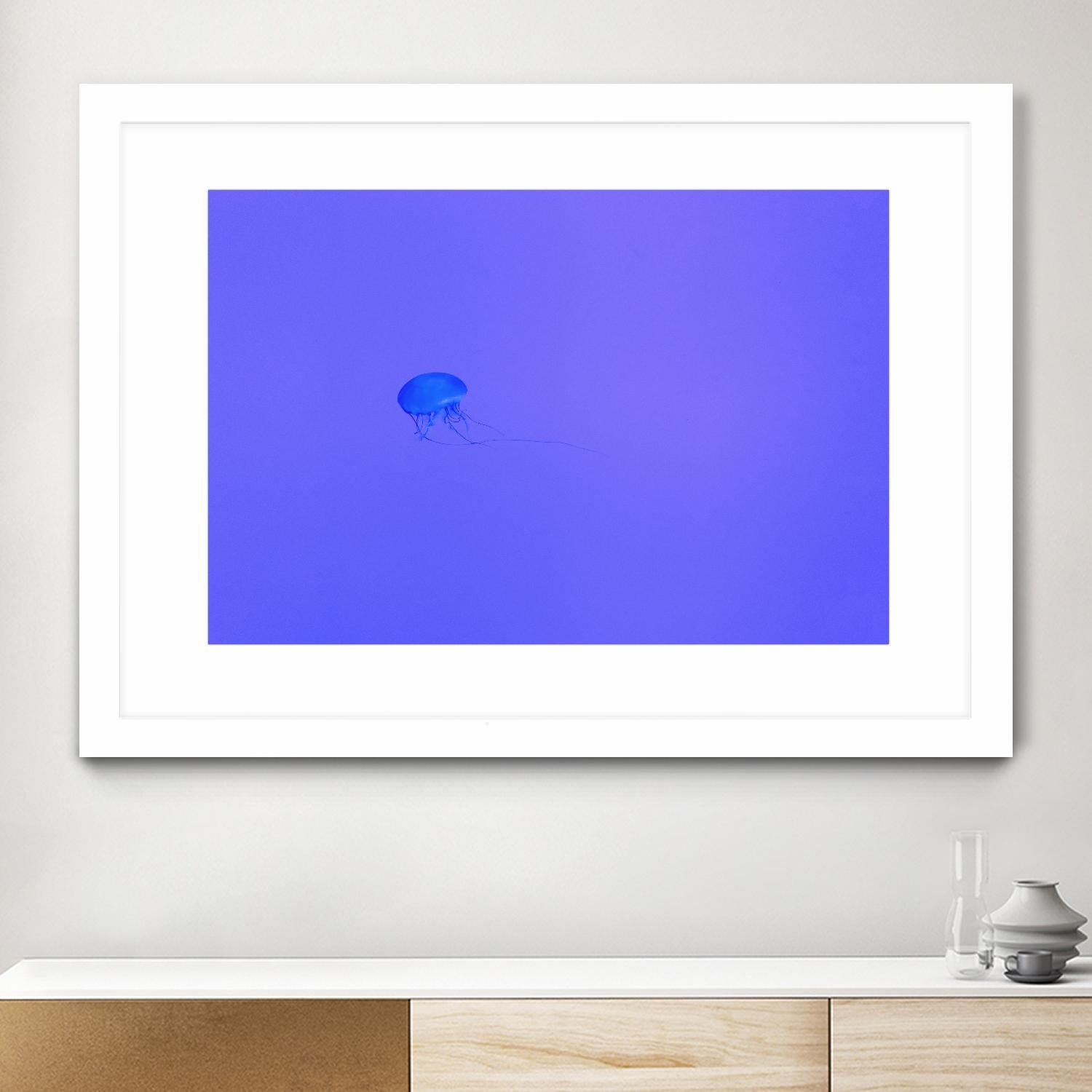 Jellyfish Jam by Pexels on GIANT ART - purple animals
