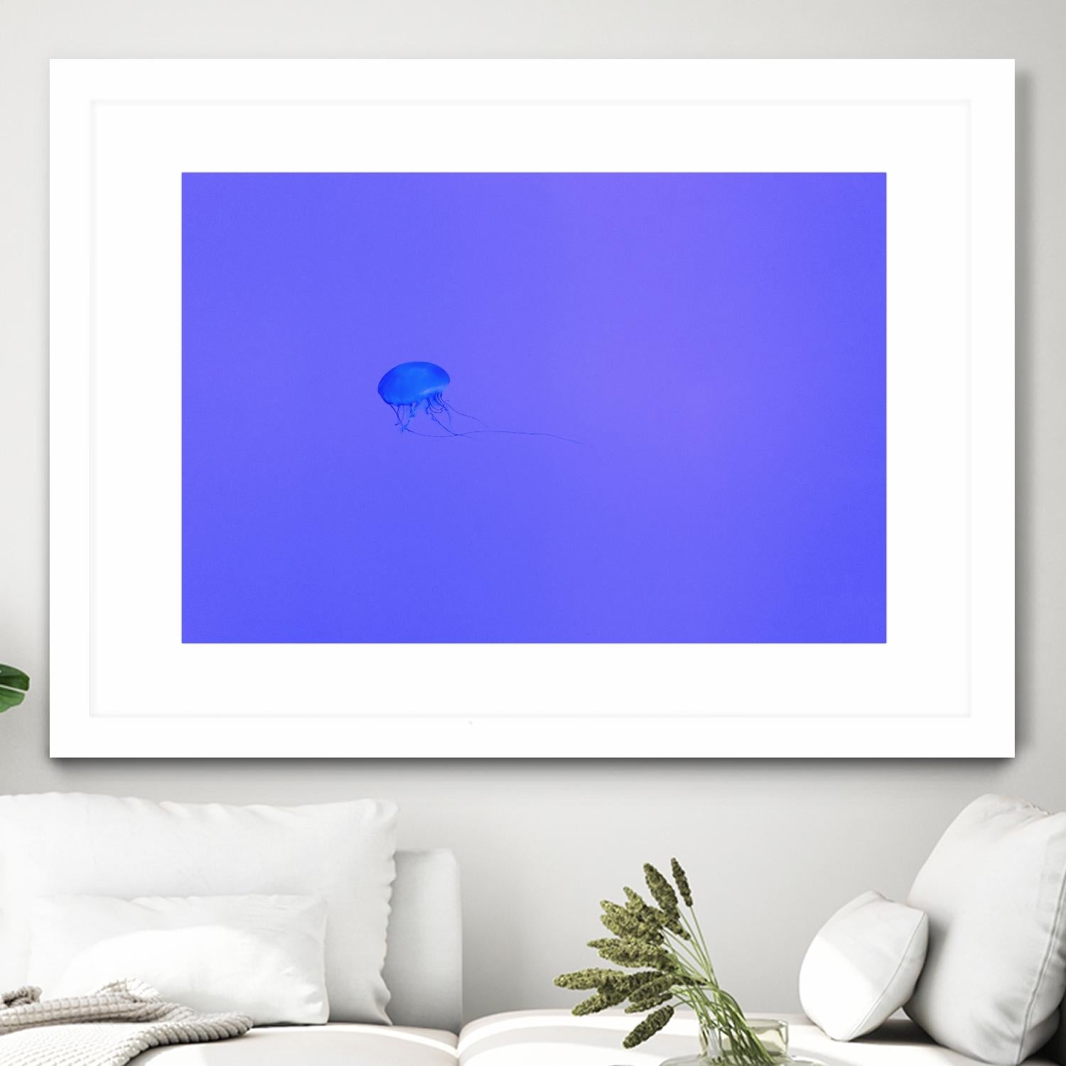 Jellyfish Jam by Pexels on GIANT ART - purple animals