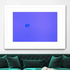 Jellyfish Jam by Pexels on GIANT ART - purple animals