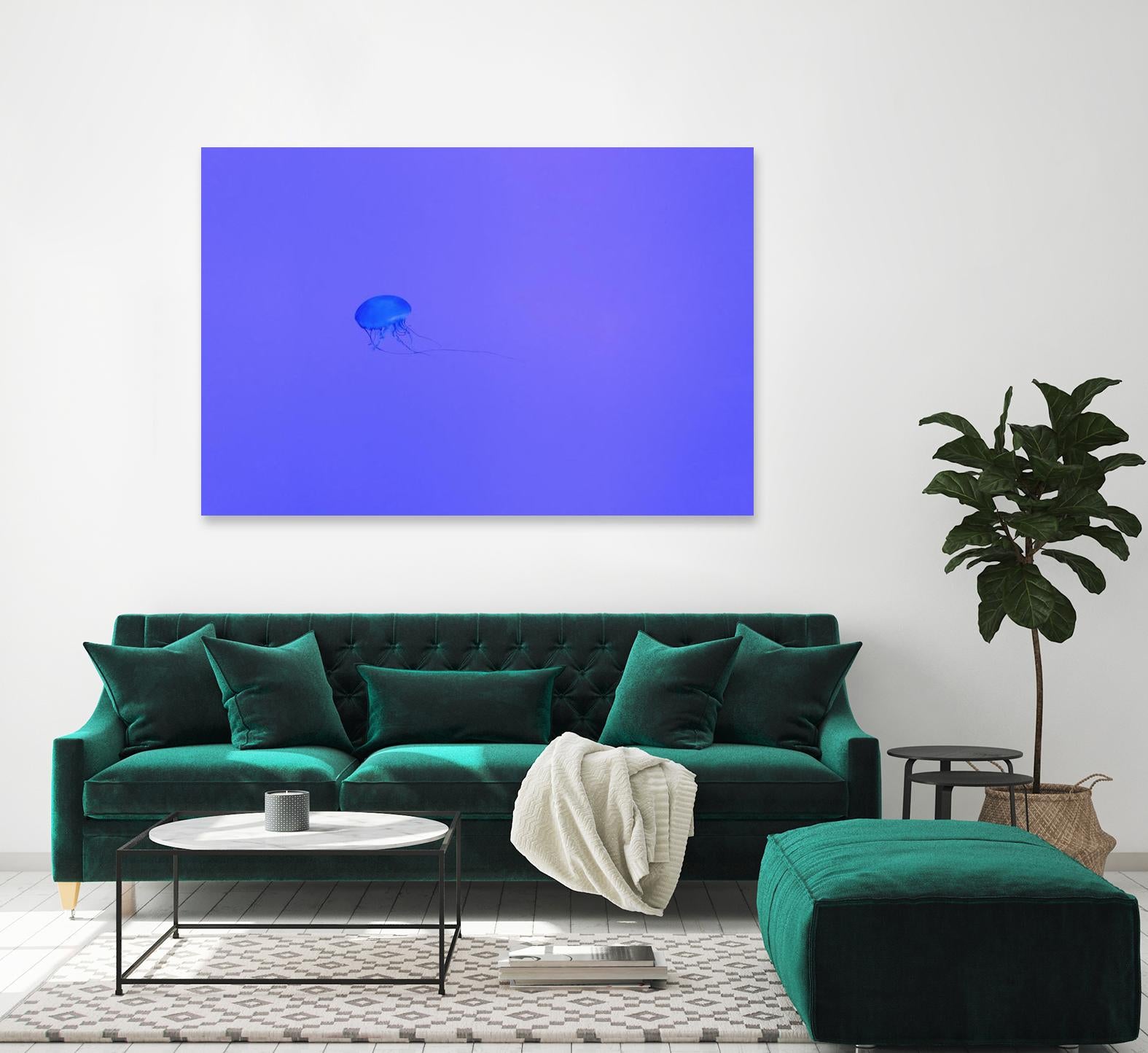 Jellyfish Jam by Pexels on GIANT ART - purple animals