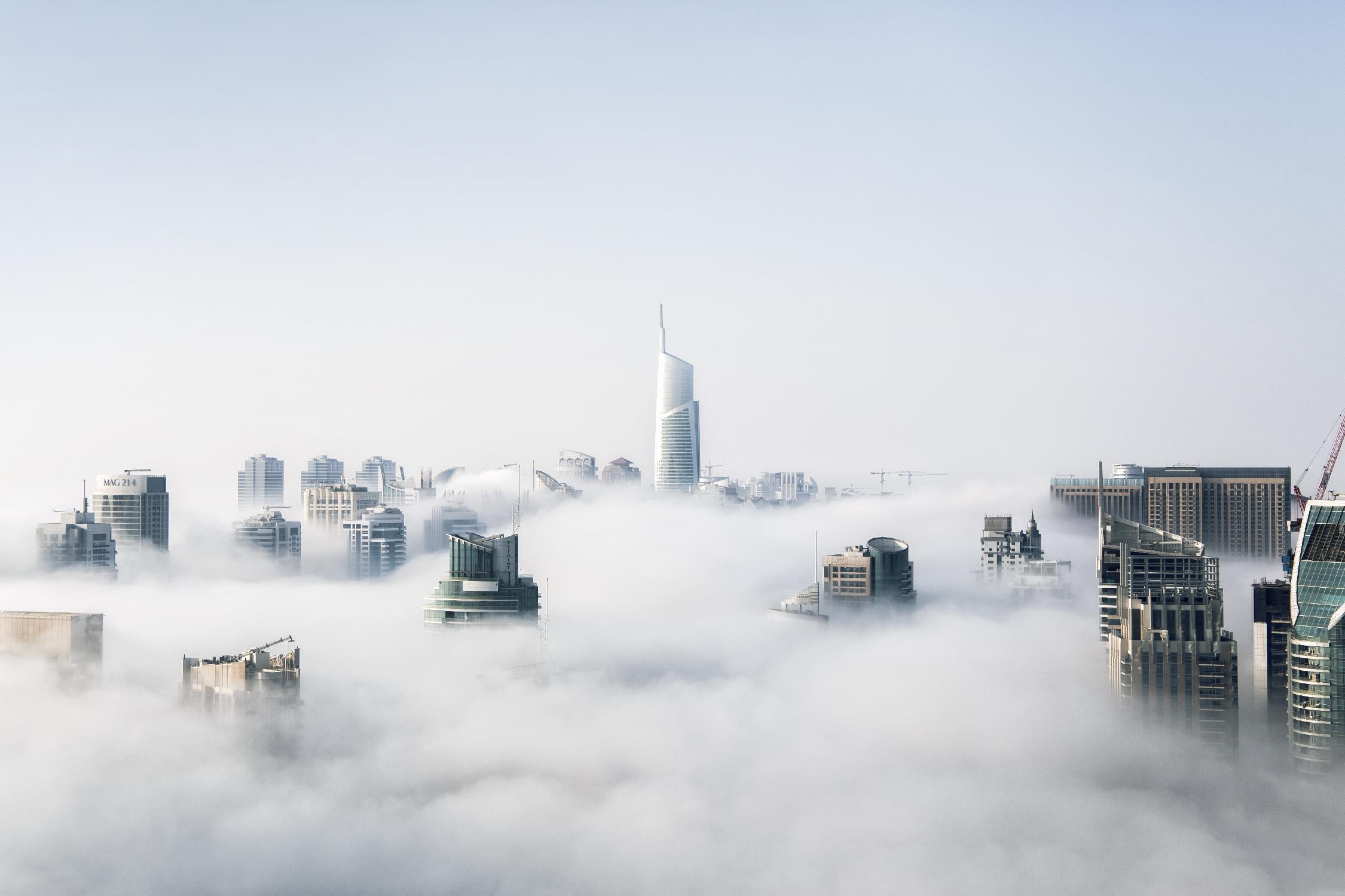 On top of the city by Pexels on GIANT ART - black city scene