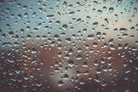 Rain drops by Pexels on GIANT ART - brown photo art