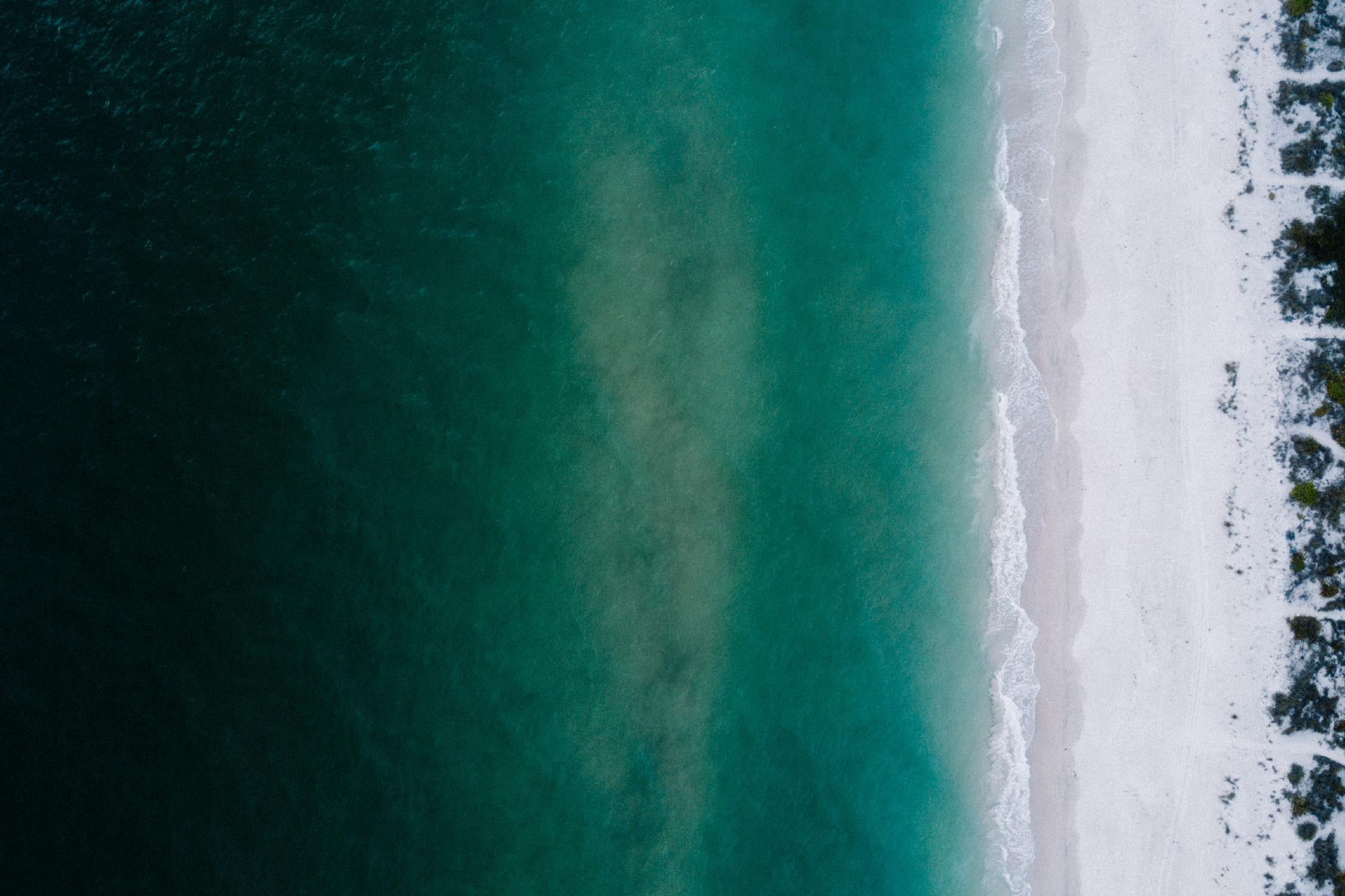 Shoreline by Pexels on GIANT ART - white sea scene