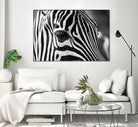 Zoomed Zebra by Pexels on GIANT ART - white animals